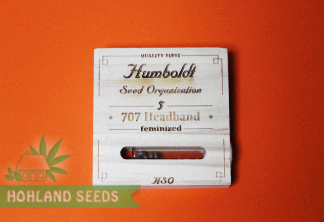 707 Headband 707 Headband