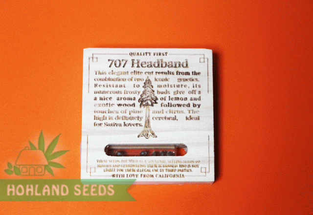 707 Headband 707 Headband