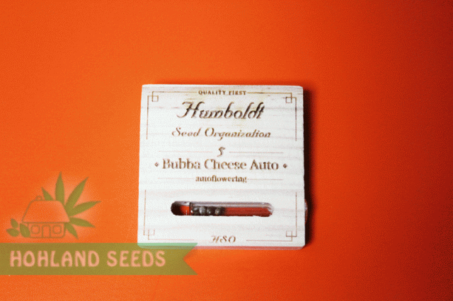 Bubba Cheese Auto Bubba Cheese Auto