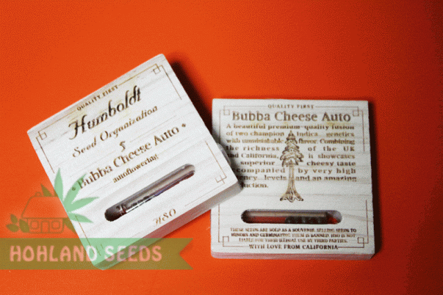 Bubba Cheese Auto Bubba Cheese Auto