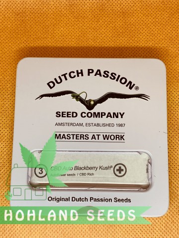 CBD Auto Blackberry Kush CBD Auto Blackberry Kush