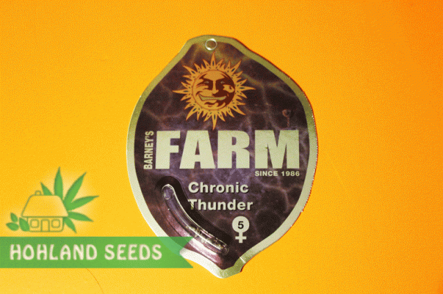 Chronic Thunder Chronic Thunder