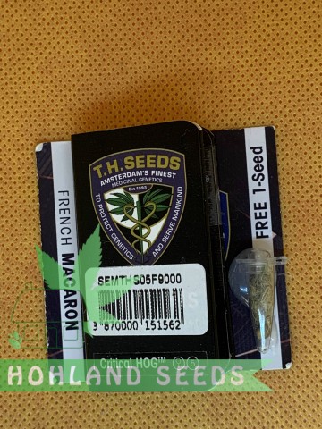 Critical Hog Critical Hog