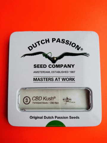 CBD Kush CBD Kush
