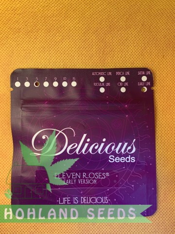 Eleven Roses Early Version Eleven Roses Early Version