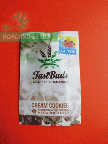 Cream Cookies Auto Cream Cookies Auto