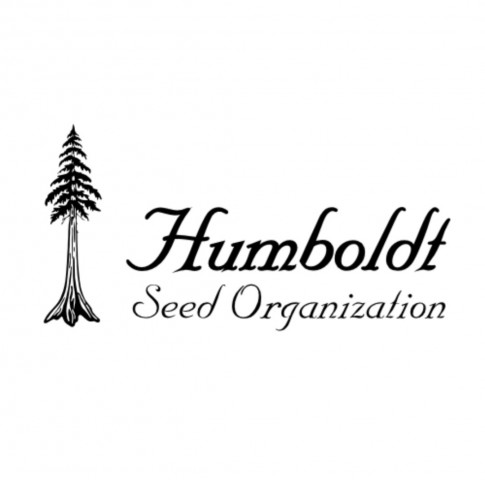 Three Blue Kings Three Blue Kings