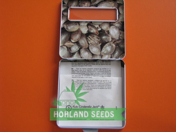 Auto Cinderella Jack Auto Cinderella Jack