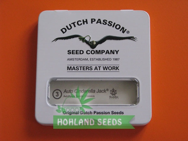 Auto Cinderella Jack Auto Cinderella Jack