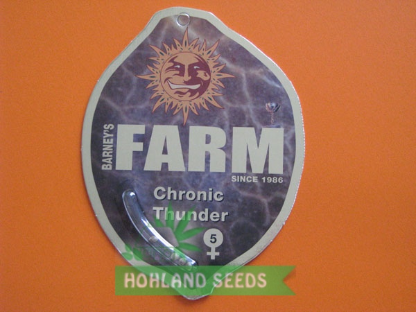 Chronic Thunder Chronic Thunder