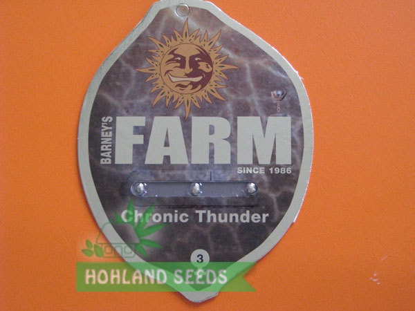 Chronic Thunder Chronic Thunder