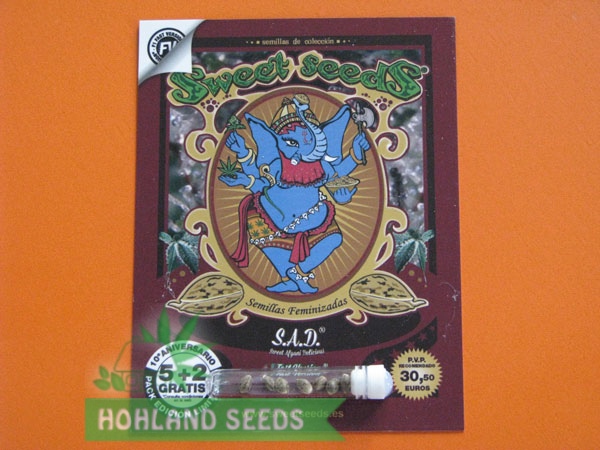 S.A.D. Sweet Afghani Delicious F1 Fast Version S.A.D. Sweet Afghani Delicious F1 Fast Version
