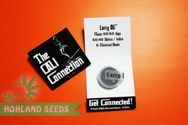 Larry OG Kush Larry OG Kush