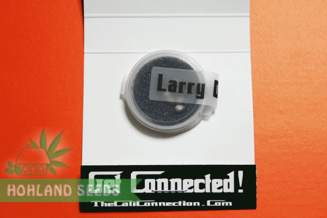 Larry OG Kush Larry OG Kush