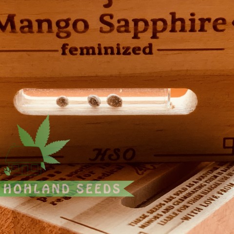 Mango Sapphire