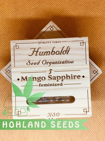 Mango Sapphire Mango Sapphire