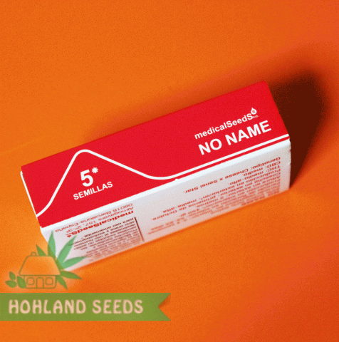No Name No Name