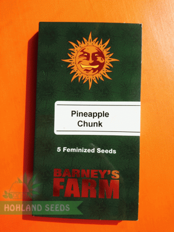 Pineapple Chunk