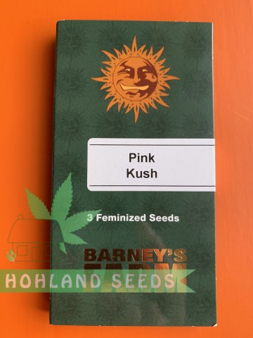 Pink Kush Pink Kush