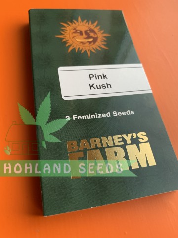 Pink Kush Pink Kush