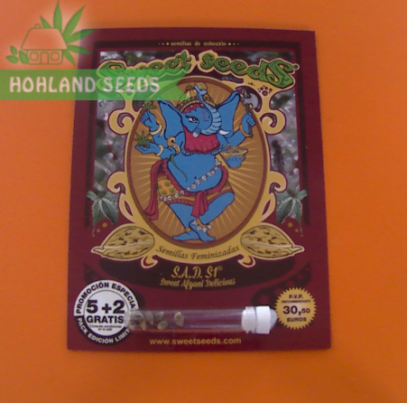 S.A.D. S1 Sweet Afghani Delicious S.A.D. S1 Sweet Afghani Delicious
