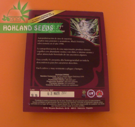 S.A.D. S1 Sweet Afghani Delicious S.A.D. S1 Sweet Afghani Delicious