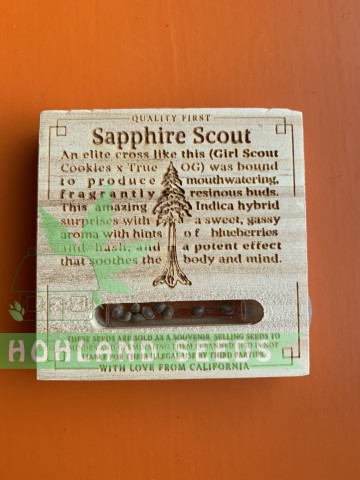 Sapphire Scoute Sapphire Scoute