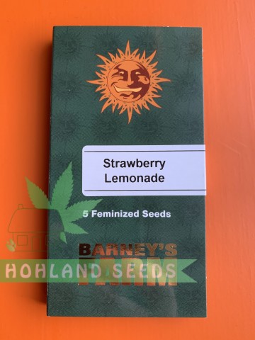 Strawberry Lemonade Strawberry Lemonade