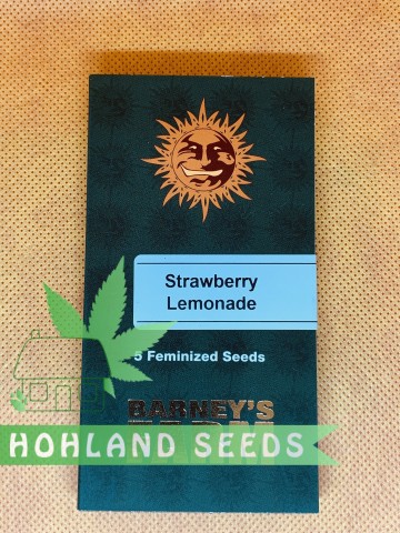 Strawberry Lemonade Strawberry Lemonade