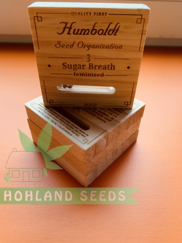 Sugar Breath Sugar Breath