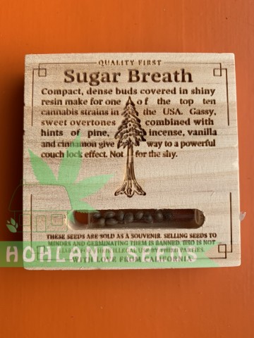 Sugar Breath Sugar Breath