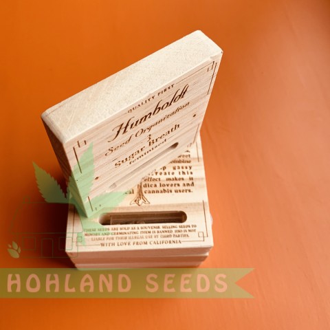 Sugar Breath Sugar Breath