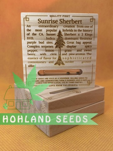 Sunrise Sherbert Sunrise Sherbert