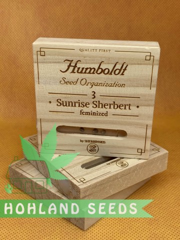 Sunrise Sherbert Sunrise Sherbert