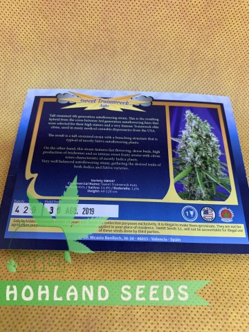 Sweet Trainwreck Auto Sweet Trainwreck Auto