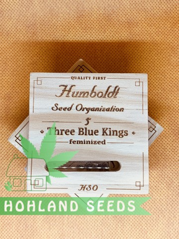 Three Blue Kings Three Blue Kings