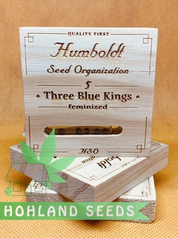 Three Blue Kings Three Blue Kings