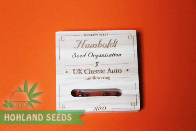 UK Cheese Auto UK Cheese Auto