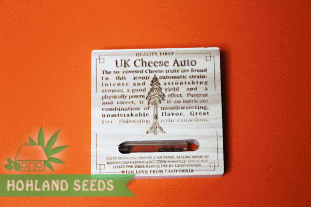 UK Cheese Auto UK Cheese Auto
