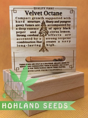 Velvet Octane Velvet Octane