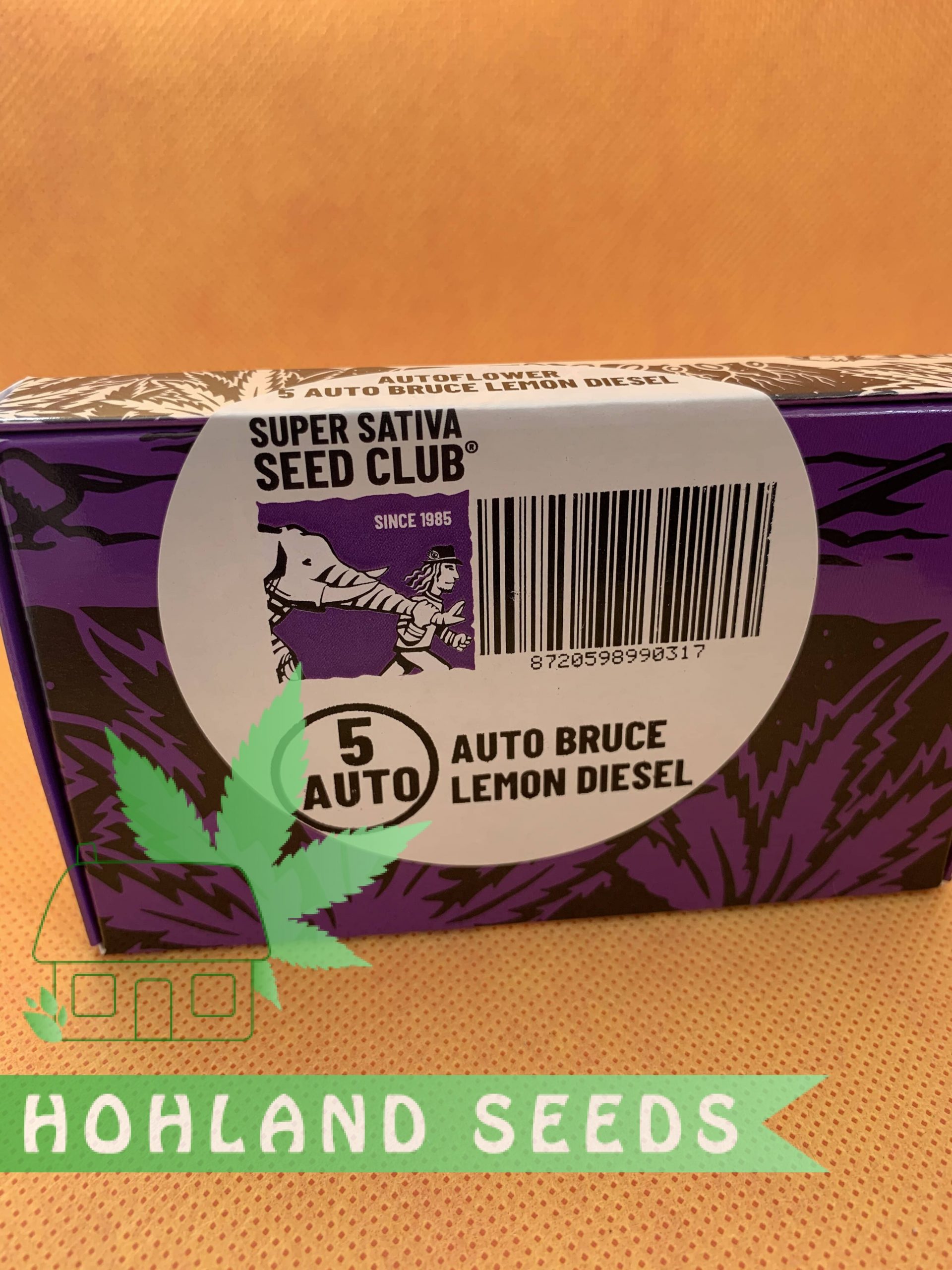 Bruce Lemon Diesel Auto Bruce Lemon Diesel Auto