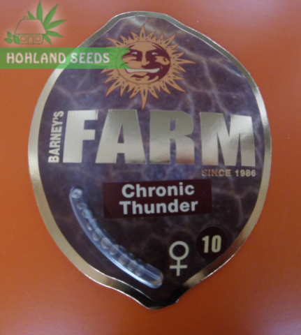 Chronic Thunder Chronic Thunder
