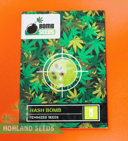 Hash Bomb Hash Bomb