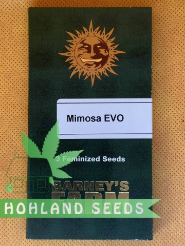 еркектер фермадағы аналықты силайды