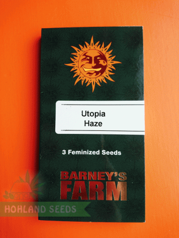 Utopia Haze Utopia Haze