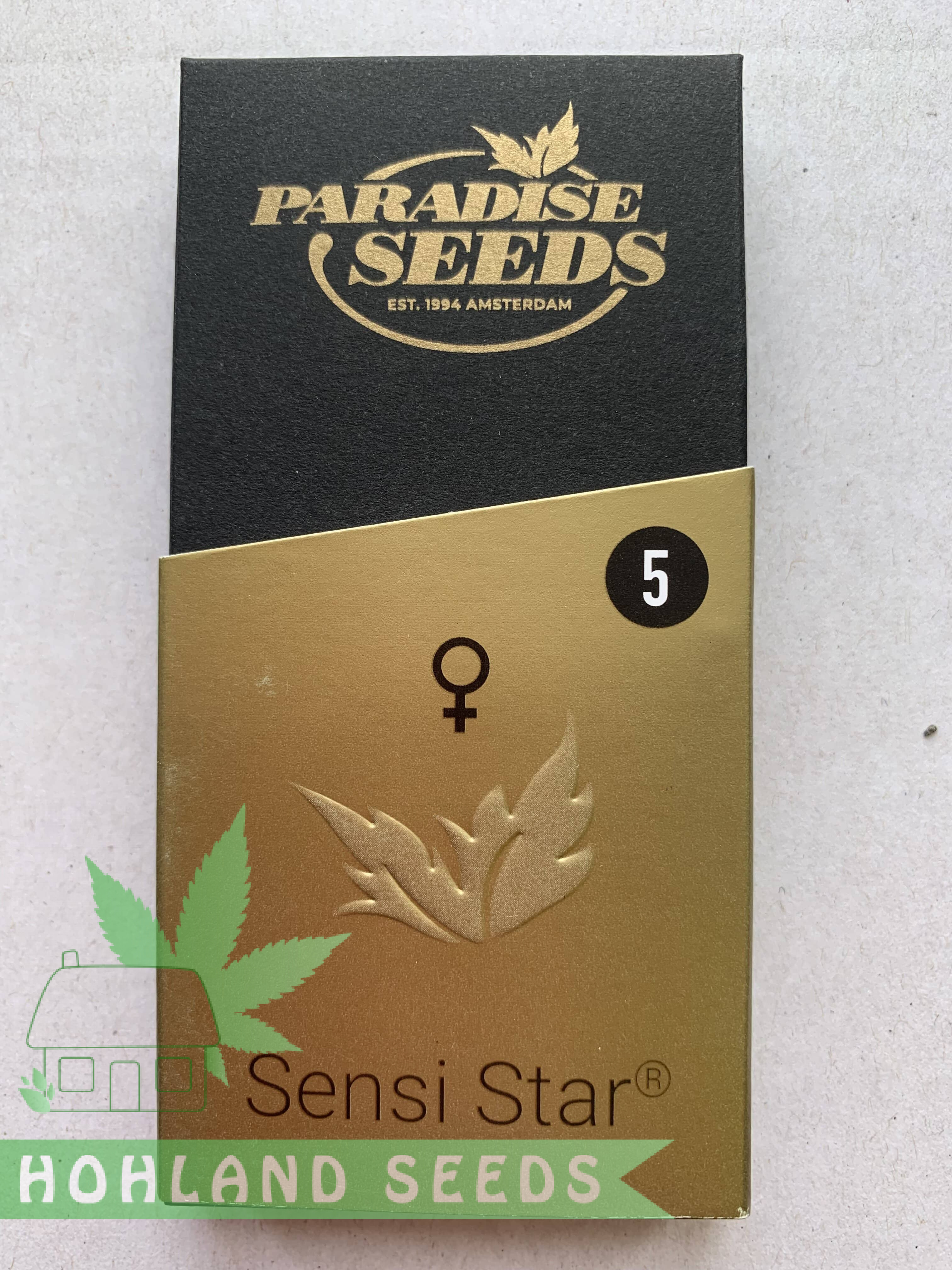 Sensi Star Sensi Star